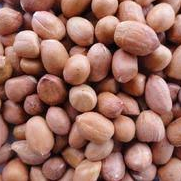 Gemini Varutha Nilakadalai/ஜெமினி வ.நி.கடலை 500gm